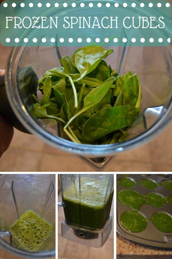 Frozen Spinach Cubes – Citrus &amp; Delicious