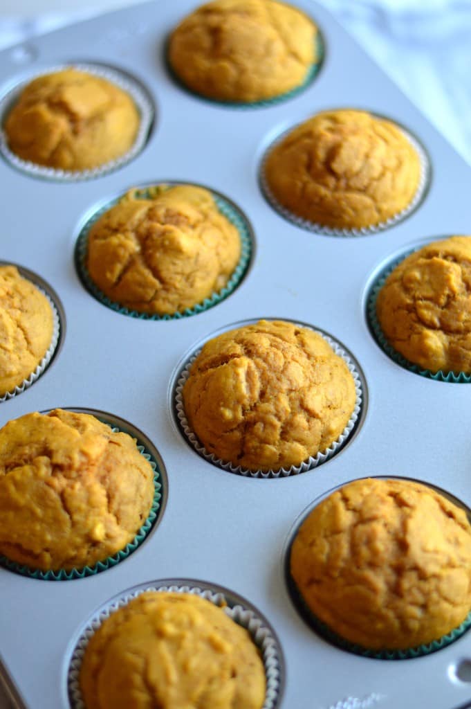 This recipe makes pumpkin muffins that are slightly sweet, perfectly spiced, and speckled with chocolate chips. Chocolate makes everything better.