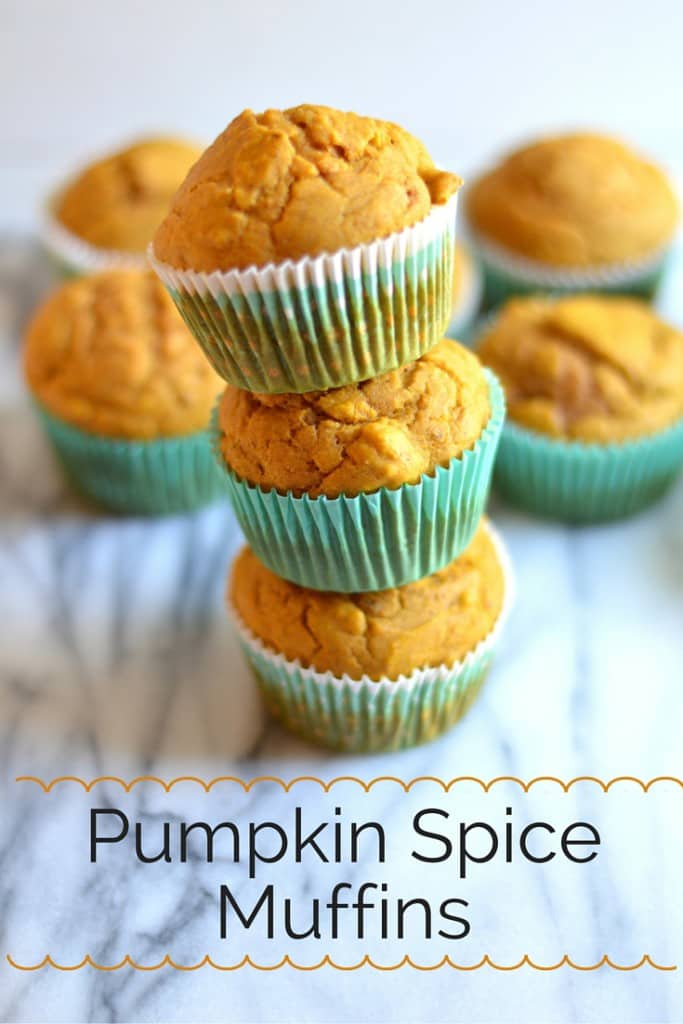 This recipe makes pumpkin muffins that are slightly sweet, perfectly spiced, and speckled with chocolate chips. Chocolate makes everything better.