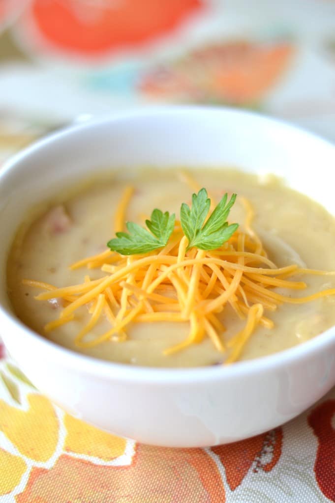 With just a handful of ingredients and roughly 30 minutes in the kitchen, this creamy loaded potato soup is the ultimate liquid comfort food and perfect to reheat for lunches or dinners!