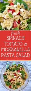 Fresh spinach, tomato and mozzarella pasta salad, a wonderfully flavorful hybrid between a classic spinach salad and a lightly dressed summertime pasta salad.