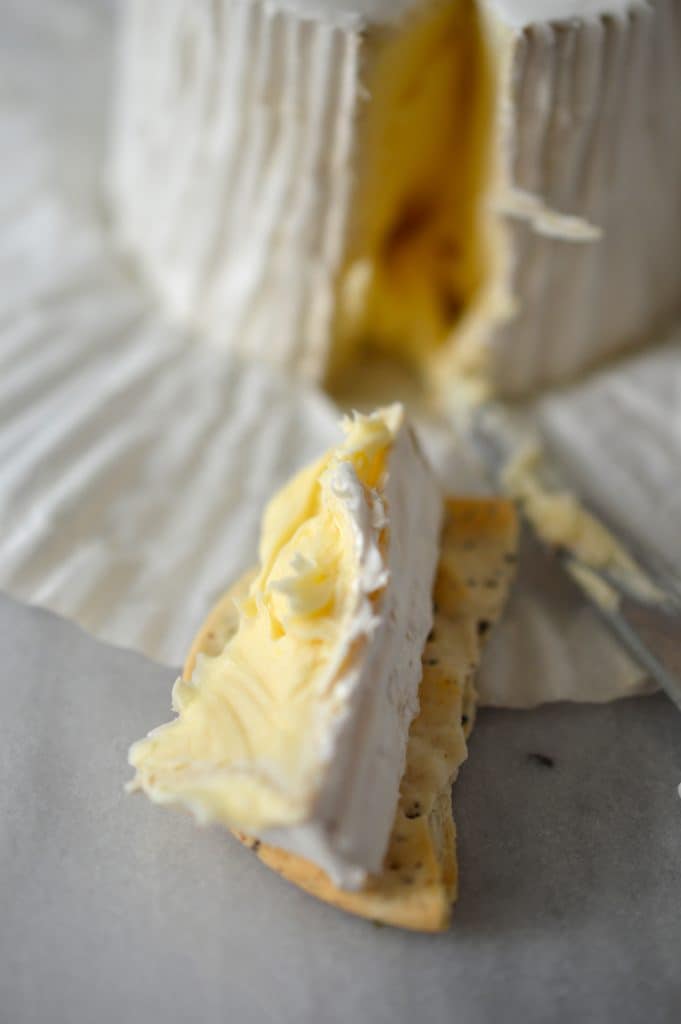 Triple Cream Brie from Ile de France Cheese.