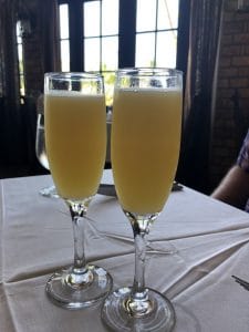 Two mimosas